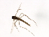  ( - HLC-27043)  @12 [ ] CreativeCommons - Attribution (2009) Unspecified Centre for Biodiversity Genomics
