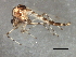  ( - HLC-27315)  @13 [ ] CreativeCommons - Attribution (2009) Unspecified Centre for Biodiversity Genomics