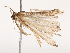  ( - CBG-B07452-A08)  @11 [ ] CreativeCommons - Attribution Share - Alike (2025) CBG Photography Group Centre for Biodiversity Genomics