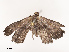  ( - CBG-B07587-B04)  @11 [ ] CreativeCommons - Attribution Share - Alike (2025) CBG Photography Group Centre for Biodiversity Genomics