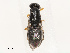  ( - CBG-B07601-C10)  @11 [ ] CreativeCommons - Attribution Share - Alike (2025) CBG Photography Group Centre for Biodiversity Genomics