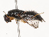  ( - CBG-B07601-H01)  @11 [ ] CreativeCommons - Attribution Share - Alike (2025) CBG Photography Group Centre for Biodiversity Genomics
