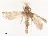  ( - CBG-B07605-B07)  @11 [ ] CreativeCommons - Attribution Share - Alike (2025) CBG Photography Group Centre for Biodiversity Genomics