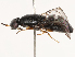  ( - CBG-B07605-E09)  @11 [ ] CreativeCommons - Attribution Share - Alike (2025) CBG Photography Group Centre for Biodiversity Genomics