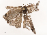  ( - CBG-B07476-E10)  @11 [ ] CreativeCommons - Attribution Share - Alike (2025) CBG Photography Group Centre for Biodiversity Genomics