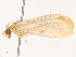  ( - CBG-B07476-H07)  @11 [ ] CreativeCommons - Attribution Share - Alike (2025) CBG Photography Group Centre for Biodiversity Genomics
