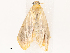  ( - CBG-B07476-H08)  @11 [ ] CreativeCommons - Attribution Share - Alike (2025) CBG Photography Group Centre for Biodiversity Genomics