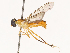  ( - CBG-B21616-H10)  @11 [ ] CreativeCommons - Attribution Share - Alike (2025) CBG Photography Group Centre for Biodiversity Genomics