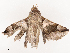  ( - CBG-B21618-G05)  @11 [ ] CreativeCommons - Attribution Share - Alike (2025) CBG Photography Group Centre for Biodiversity Genomics