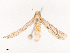  ( - CBG-B21626-A04)  @11 [ ] CreativeCommons - Attribution Share - Alike (2025) CBG Photography Group Centre for Biodiversity Genomics