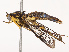  ( - CBG-B12233-C06)  @11 [ ] CreativeCommons - Attribution Share - Alike (2025) CBG Photography Group Centre for Biodiversity Genomics