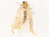  ( - CBG-B21798-B07)  @11 [ ] CreativeCommons - Attribution Share - Alike (2025) CBG Photography Group Centre for Biodiversity Genomics