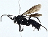  ( - BIOUG95346-G11)  @11 [ ] CreativeCommons - Attribution (2023) CBG Photography Group Centre for Biodiversity Genomics