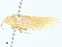  ( - BIOUG95347-E08)  @11 [ ] CreativeCommons - Attribution (2023) CBG Photography Group Centre for Biodiversity Genomics