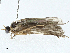  ( - BIOUG97793-C12)  @11 [ ] CreativeCommons - Attribution (2023) CBG Photography Group Centre for Biodiversity Genomics