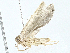  ( - BIOUG97793-D11)  @11 [ ] CreativeCommons - Attribution (2023) CBG Photography Group Centre for Biodiversity Genomics