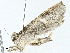  ( - BIOUG97793-E12)  @11 [ ] CreativeCommons - Attribution (2023) CBG Photography Group Centre for Biodiversity Genomics