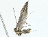  ( - BIOUG97793-F02)  @11 [ ] CreativeCommons - Attribution (2023) CBG Photography Group Centre for Biodiversity Genomics