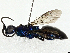  ( - BIOUG97794-A02)  @11 [ ] CreativeCommons - Attribution (2023) CBG Photography Group Centre for Biodiversity Genomics