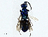  ( - BIOUG97794-A08)  @11 [ ] CreativeCommons - Attribution (2023) CBG Photography Group Centre for Biodiversity Genomics