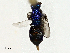  ( - BIOUG97794-C01)  @11 [ ] CreativeCommons - Attribution (2023) CBG Photography Group Centre for Biodiversity Genomics