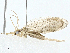  ( - BIOUG97794-C06)  @11 [ ] CreativeCommons - Attribution (2023) CBG Photography Group Centre for Biodiversity Genomics