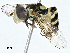  ( - BIOUG97794-C10)  @11 [ ] CreativeCommons - Attribution (2023) CBG Photography Group Centre for Biodiversity Genomics