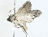  ( - BIOUG97794-G04)  @11 [ ] CreativeCommons - Attribution (2023) CBG Photography Group Centre for Biodiversity Genomics