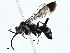  ( - BIOUG97795-E06)  @11 [ ] CreativeCommons - Attribution (2023) CBG Photography Group Centre for Biodiversity Genomics