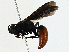  ( - BIOUG97795-F02)  @11 [ ] CreativeCommons - Attribution (2023) CBG Photography Group Centre for Biodiversity Genomics
