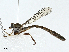  ( - BIOUG97796-F11)  @11 [ ] CreativeCommons - Attribution (2023) CBG Photography Group Centre for Biodiversity Genomics