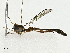 ( - BIOUG97796-G01)  @11 [ ] CreativeCommons - Attribution (2023) CBG Photography Group Centre for Biodiversity Genomics