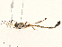  ( - BIOUG98646-A05)  @11 [ ] CreativeCommons - Attribution (2023) CBG Photography Group Centre for Biodiversity Genomics