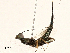  ( - BIOUG98646-F03)  @11 [ ] CreativeCommons - Attribution (2023) CBG Photography Group Centre for Biodiversity Genomics
