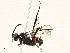  ( - BIOUG98646-F08)  @11 [ ] CreativeCommons - Attribution (2023) CBG Photography Group Centre for Biodiversity Genomics