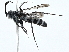  ( - BIOUG98647-E09)  @11 [ ] CreativeCommons - Attribution (2023) CBG Photography Group Centre for Biodiversity Genomics
