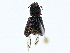  ( - BIOUG98647-F08)  @11 [ ] CreativeCommons - Attribution (2023) CBG Photography Group Centre for Biodiversity Genomics