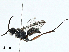  ( - BIOUG98649-G05)  @11 [ ] CreativeCommons - Attribution (2023) CBG Photography Group Centre for Biodiversity Genomics