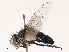  ( - CBG-B00468-A03)  @11 [ ] CreativeCommons - Attribution Share - Alike (2025) CBG Photography Group Centre for Biodiversity Genomics