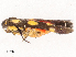  ( - CBG-B00468-C03)  @11 [ ] CreativeCommons - Attribution Share - Alike (2025) CBG Photography Group Centre for Biodiversity Genomics