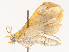  ( - CBG-B14654-F05)  @11 [ ] CreativeCommons - Attribution Share - Alike (2025) CBG Photography Group Centre for Biodiversity Genomics