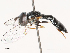  ( - CBG-B14654-F06)  @11 [ ] CreativeCommons - Attribution Share - Alike (2025) CBG Photography Group Centre for Biodiversity Genomics