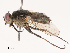  ( - CBG-B14654-G11)  @11 [ ] CreativeCommons - Attribution Share - Alike (2025) CBG Photography Group Centre for Biodiversity Genomics