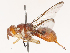  ( - CBG-B14654-H06)  @11 [ ] CreativeCommons - Attribution Share - Alike (2025) CBG Photography Group Centre for Biodiversity Genomics