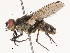 ( - CBG-B14794-C07)  @11 [ ] CreativeCommons - Attribution Share - Alike (2025) CBG Photography Group Centre for Biodiversity Genomics