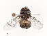  ( - CBG-B22924-C12)  @11 [ ] CreativeCommons - Attribution Share - Alike (2025) CBG Photography Group Centre for Biodiversity Genomics