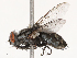  ( - CBG-B22924-G04)  @11 [ ] CreativeCommons - Attribution Share - Alike (2025) CBG Photography Group Centre for Biodiversity Genomics