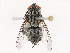  ( - CBG-B22924-H01)  @11 [ ] CreativeCommons - Attribution Share - Alike (2025) CBG Photography Group Centre for Biodiversity Genomics
