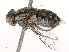  ( - CBG-B22932-G08)  @11 [ ] CreativeCommons - Attribution Share - Alike (2025) CBG Photography Group Centre for Biodiversity Genomics