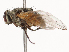  ( - CBG-B22932-H02)  @11 [ ] CreativeCommons - Attribution Share - Alike (2025) CBG Photography Group Centre for Biodiversity Genomics